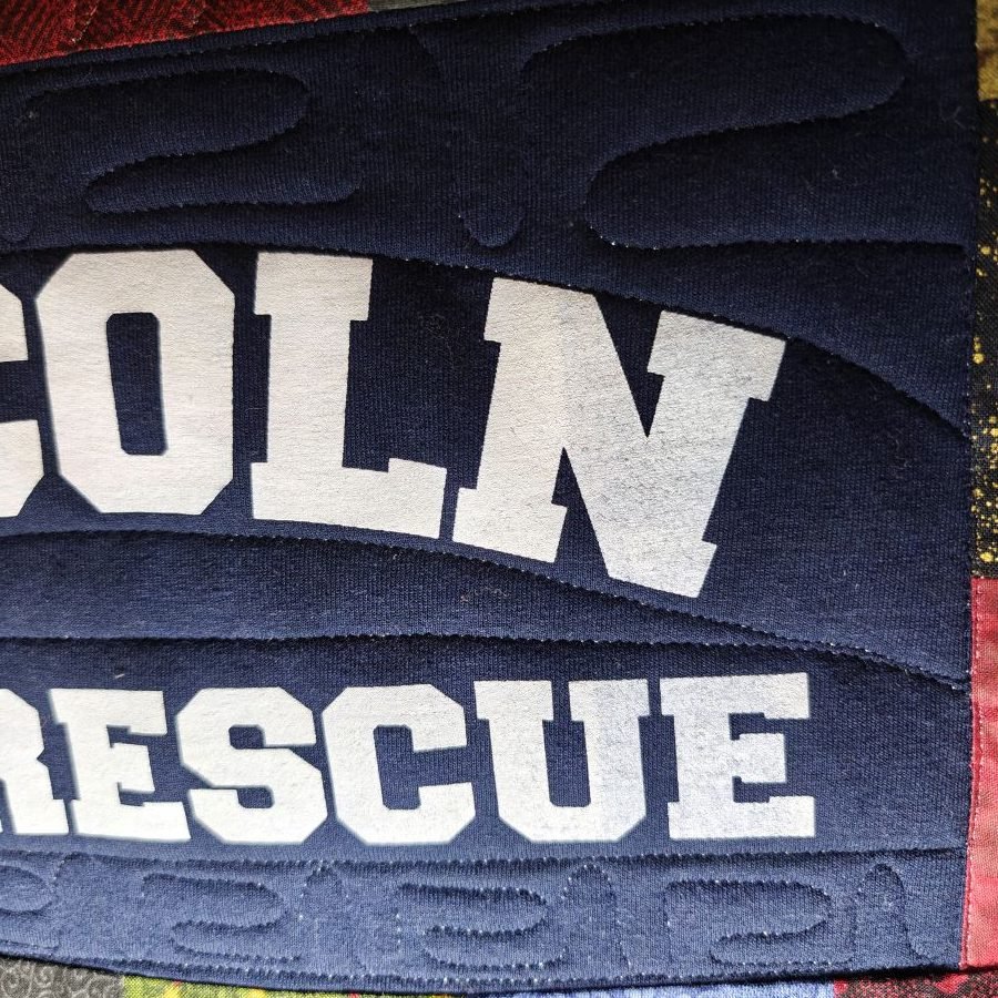 T shirt quilt fills e's